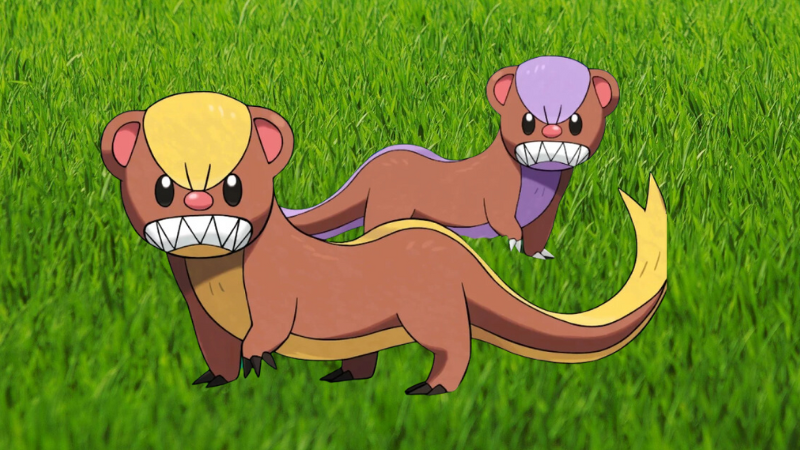 Can Yungoos Be Shiny in Pokémon Go