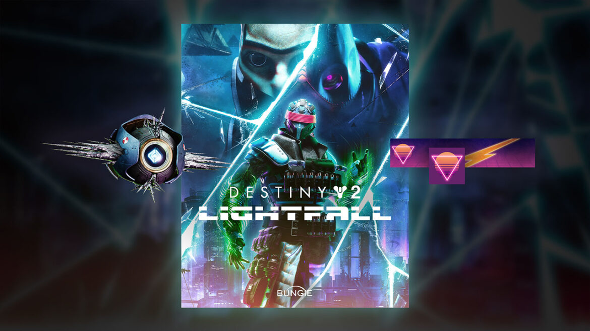 Destiny 2-How to Fix Error Code Weasel