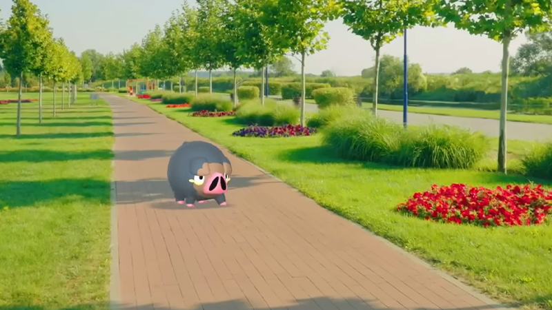 Pokemon Go All 1KM Buddies