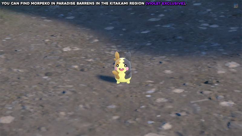 How To Get Morpeko in Pokémon Scarlet and Violet the Teal Mask