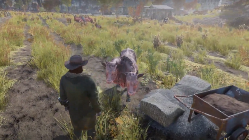 Where To Find Brahmin in Fallout 76